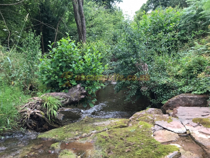 Pentwyn Dingle Campsite