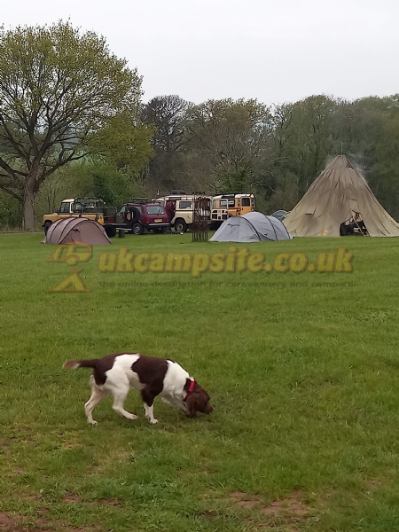 Lodge Field Rural Campsite