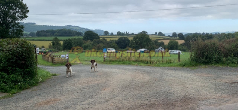 Lodge Field Rural Campsite