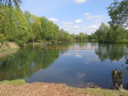 Manor Farm Lakes And Campsite