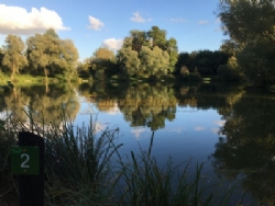 Manor Farm Lakes And Campsite