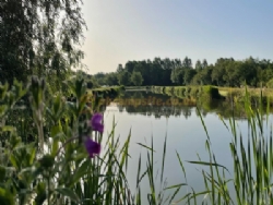 Manor Farm Lakes And Campsite