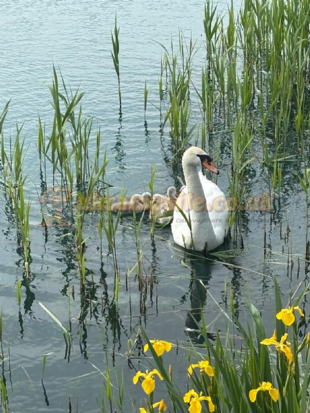 Fenview Lakes Campsite