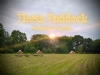 Fleets Paddock Glamping And Camping Fleets Paddock Glamping And Camping