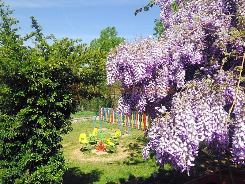 Camping Cepo Verde