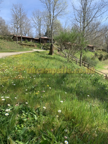 Camping Cepo Verde