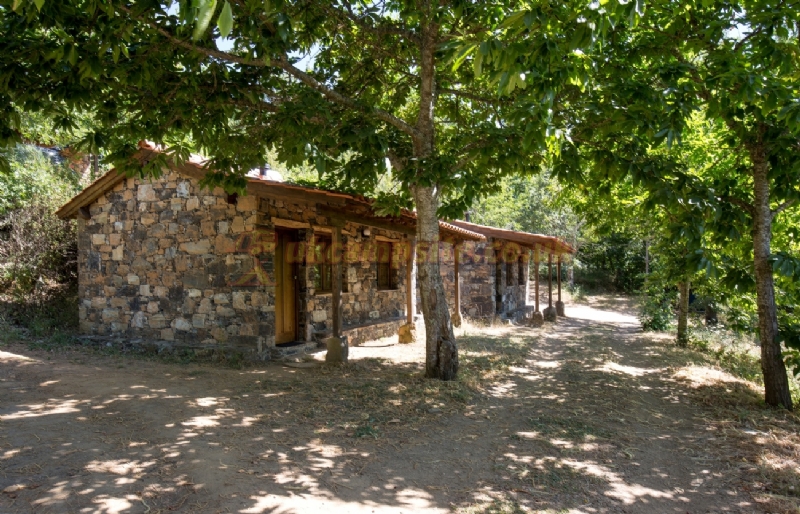 Camping Cepo Verde