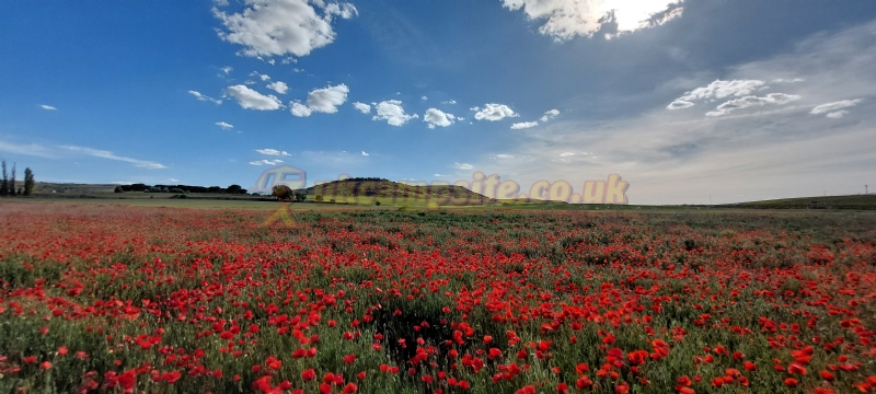 Camping Riberduero
