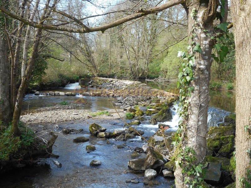 Exe Valley Caravan Site
