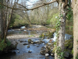 Exe Valley Caravan Site
