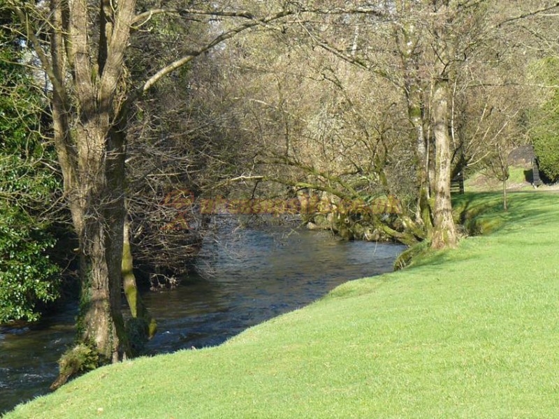 Exe Valley Caravan Site
