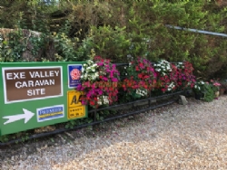 Exe Valley Caravan Site
