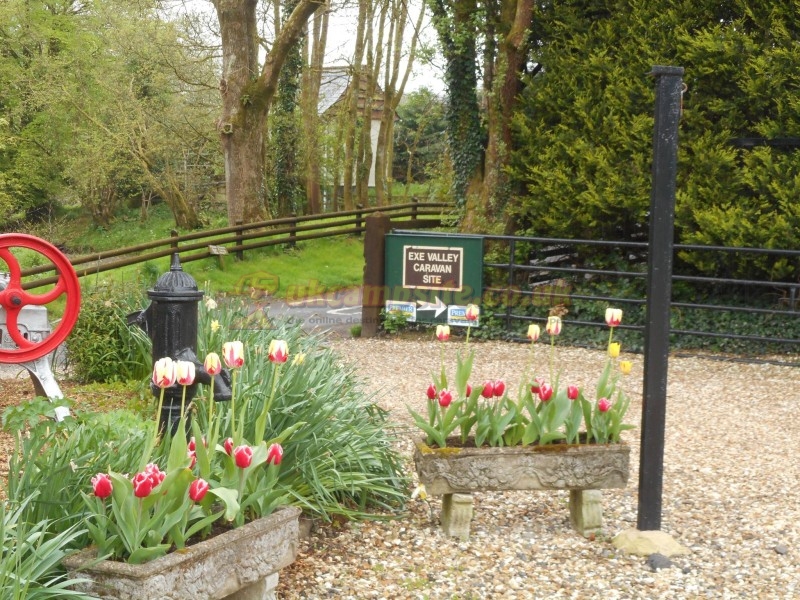 Exe Valley Caravan Site