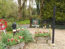 Exe Valley Caravan Site