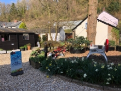 Exe Valley Caravan Site