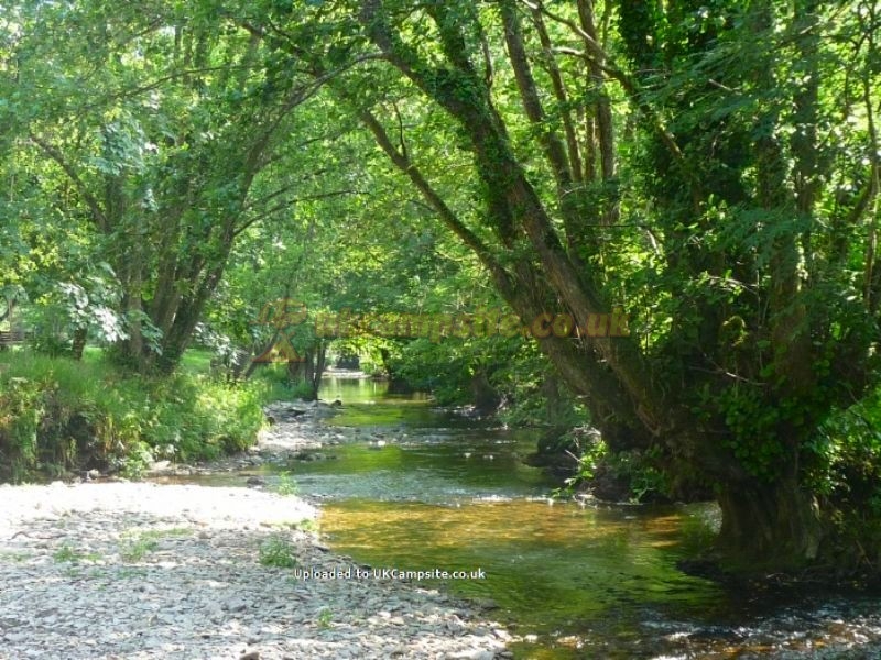 Exe Valley Caravan Site