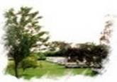 Fairways International Caravan Park Fairways International Caravan Park