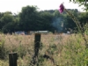 Caraway Meadows Campsite Caraway Meadows Campsite