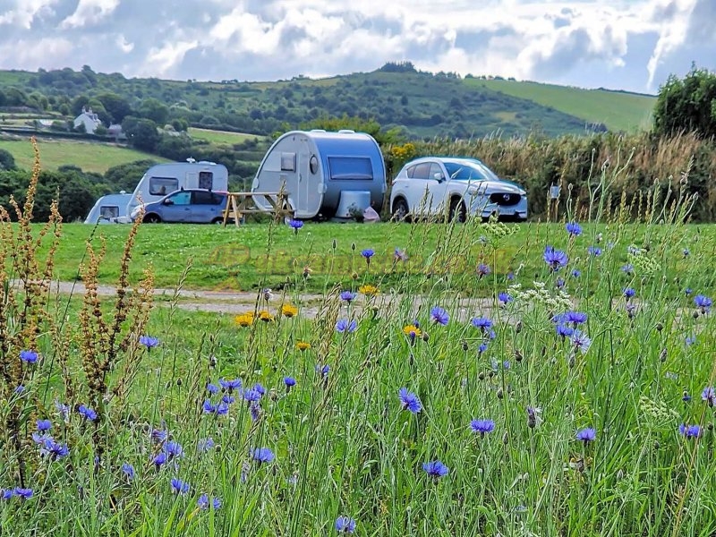 The Camping Field At Tredinnick Farm