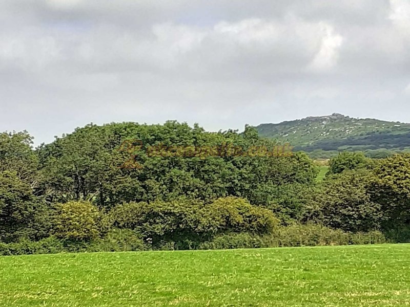 The Camping Field At Tredinnick Farm
