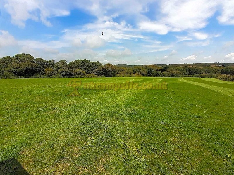 The Camping Field At Tredinnick Farm