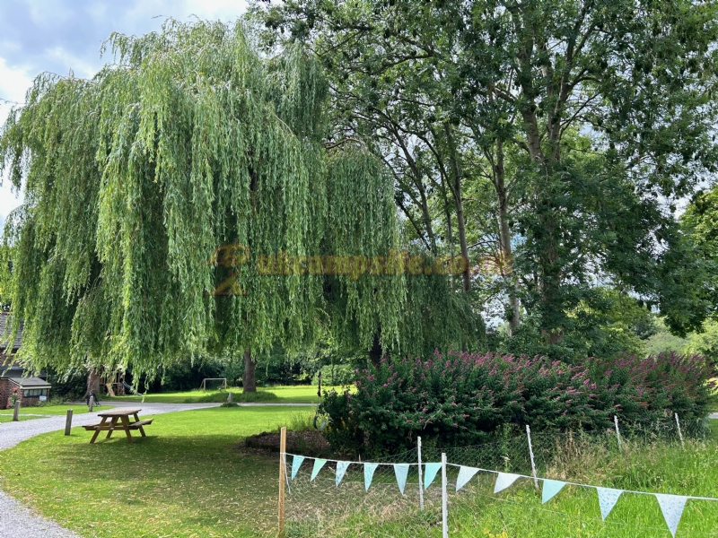 Netherwood Touring Park