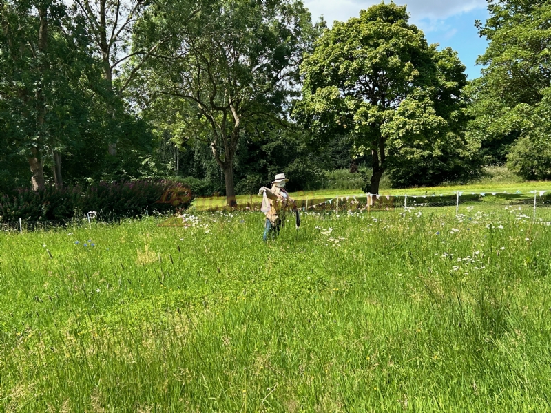Netherwood Touring Park