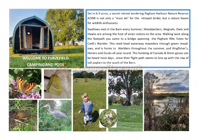 Furzefield Barn Campsite And Pod