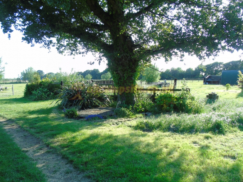 Furzefield Barn Campsite And Pod