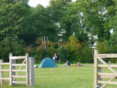 Ismore Coppice National Trust Wild Campground