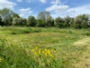 The Wildings Campsite The Wildings Campsite