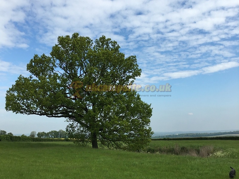 Pightle Farm Caravan And Camping Site