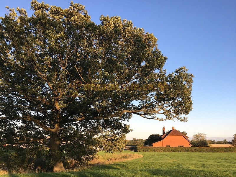 Pightle Farm Caravan And Camping Site