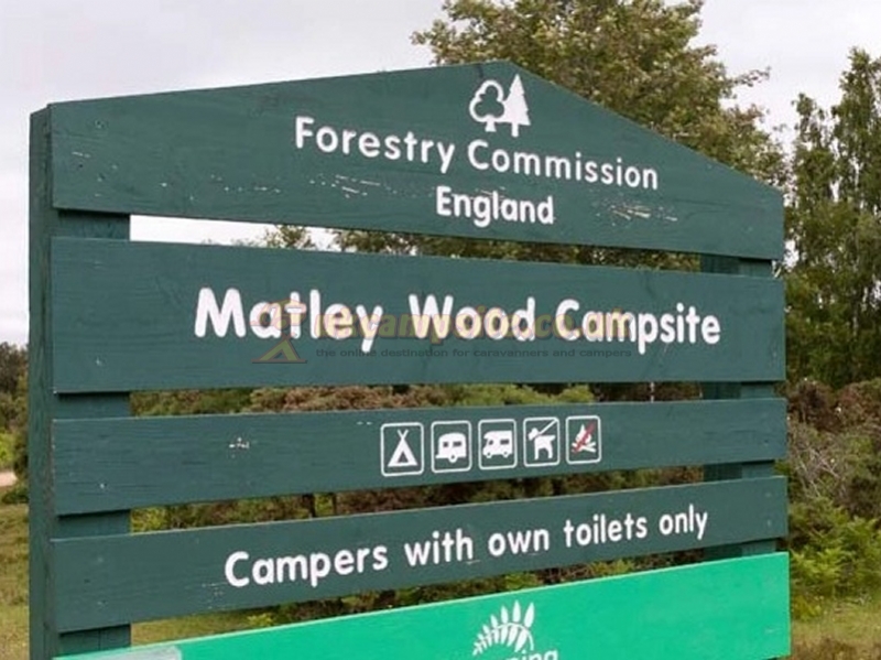 Matley Wood Camping In The New Forest
