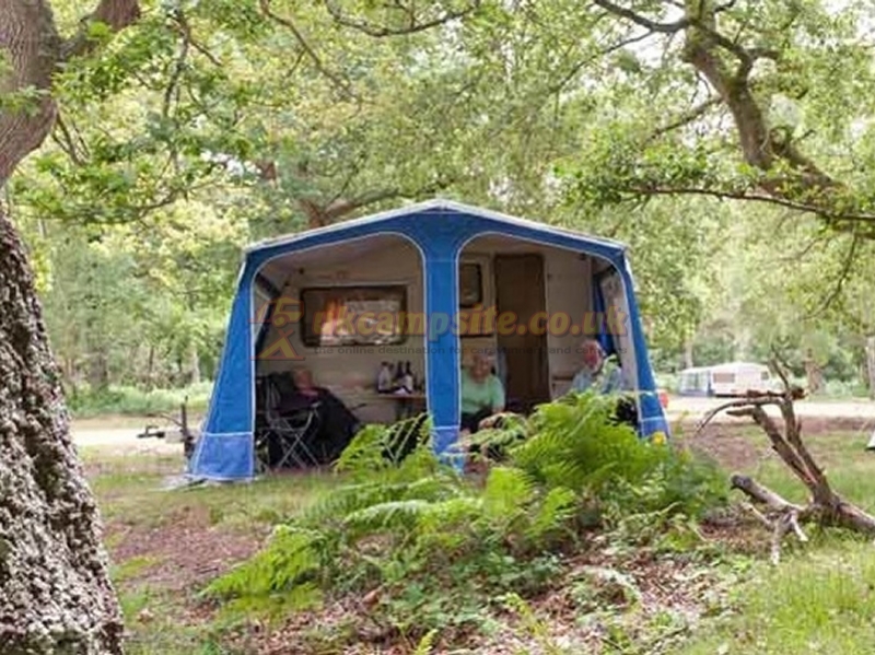 Matley Wood Camping In The New Forest