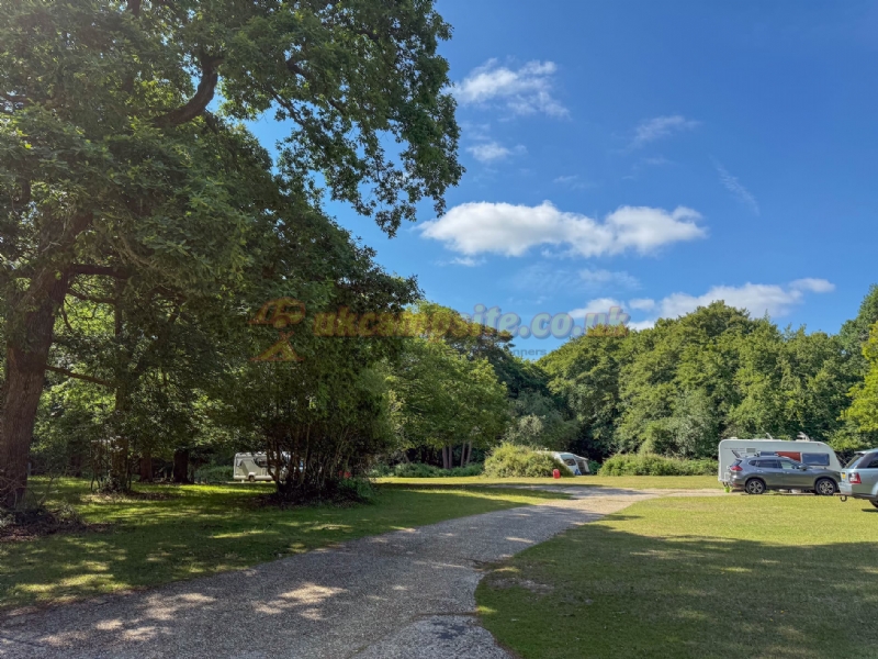 Longbeech Camping In The New Forest