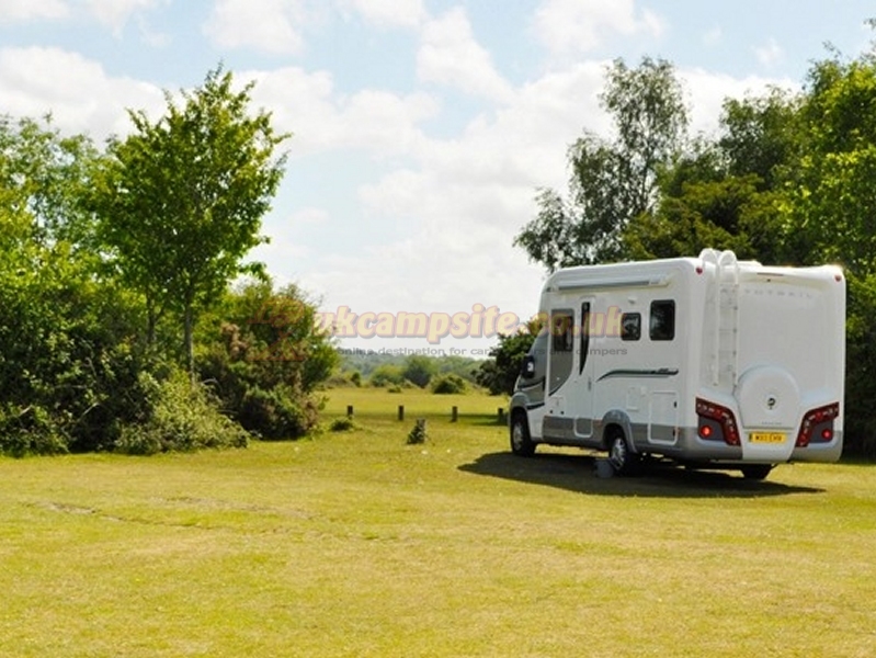 Longbeech Camping In The New Forest