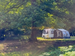 Longbeech Camping In The New Forest