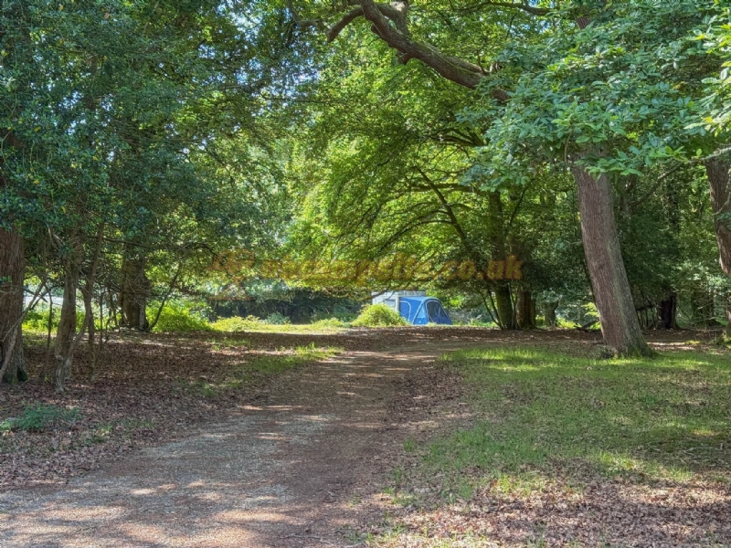 Longbeech Camping In The New Forest