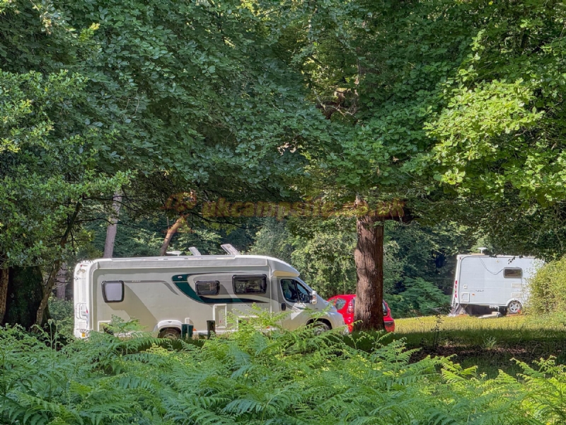 Longbeech Camping In The New Forest