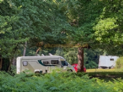 Longbeech Camping In The New Forest