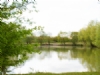 Blasford Hill Fishery Certificated Location