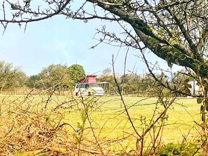 Blackthorn Camping