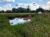 Avon Wild Camping