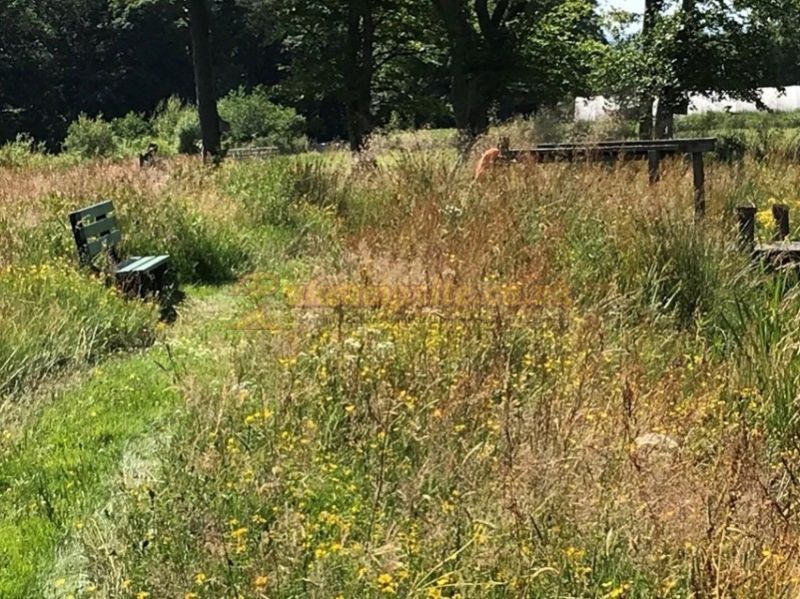 Williamwood Farm Certificated Site