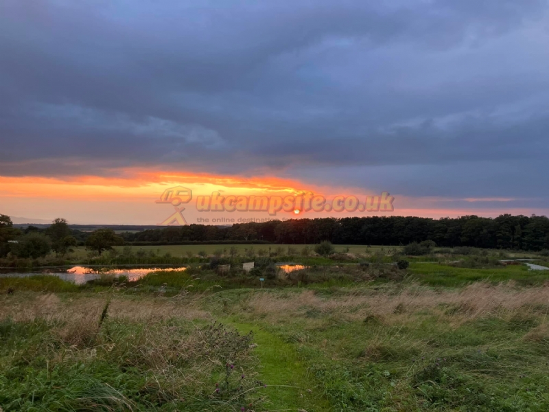 Williamwood Farm Certificated Site