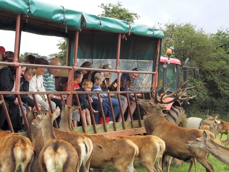 Snettisham Meadows Camping And Glamping