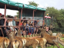 Snettisham Meadows Camping And Glamping