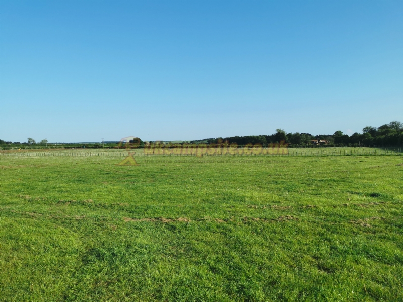 Snettisham Meadows Camping And Glamping