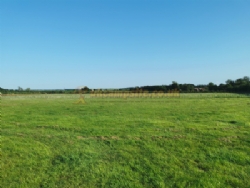 Snettisham Meadows Camping And Glamping